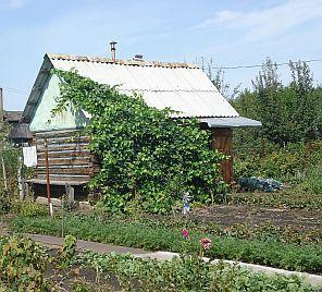 Продается сад, 16 соток, с домом и баней у д. Жуково (Уфа) Город Уфа